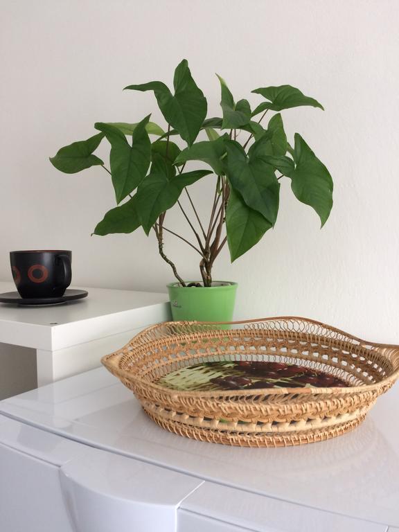 Apartman Namesti Horniku Trutnov Luaran gambar